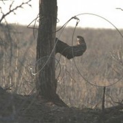 Lacci da Bracconaggio